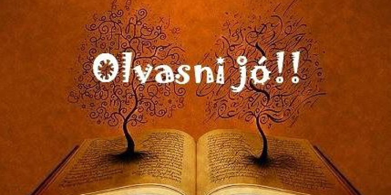 Olvasás éjszakája