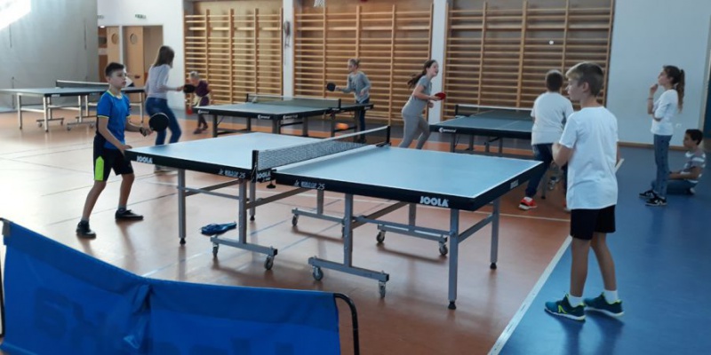 Házi ping-pong bajnokság