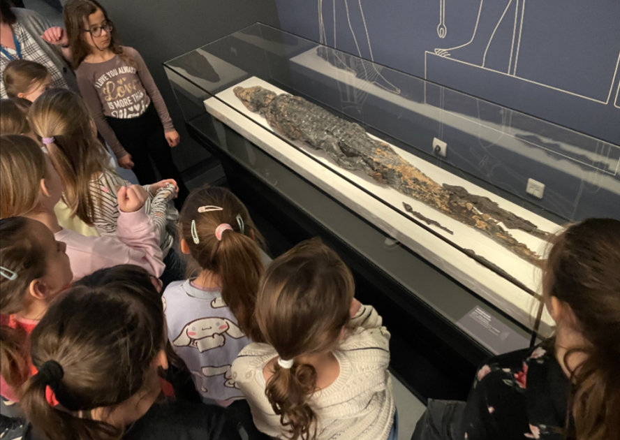 Screenshot_20260227-141024