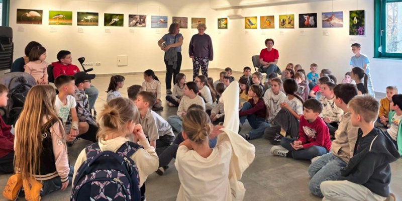 Ámulatba ejtő madárvilág